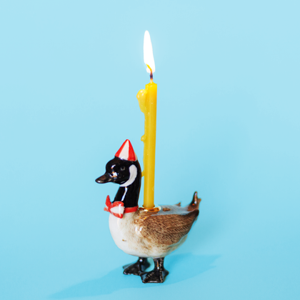 Camp Hollow - Canadian Goose Cake Topper