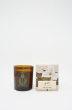 The Quiet Botanist - 426 Candle - The Scent of our Store.