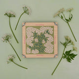 Studio Wald - UK Made - Flower Press - Forget Me Not