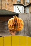 East End Press - PUMPKIN HONEYCOMB