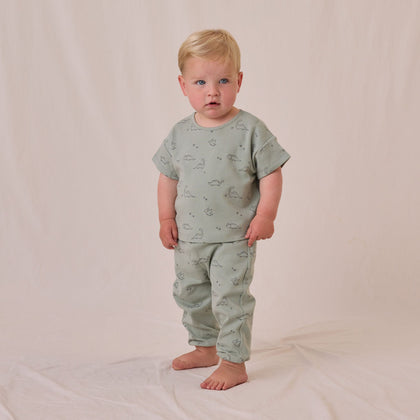 Quincy Mae Jersey Tee + Pant Set ~ Dino