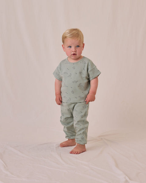 Quincy Mae Jersey Tee + Pant Set ~ Dino