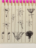 The Quiet Botanist -  Botanical Matches
