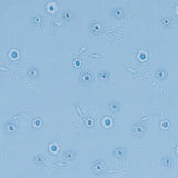 Minnow Girls Blue Eyelet Rashguard One Piece