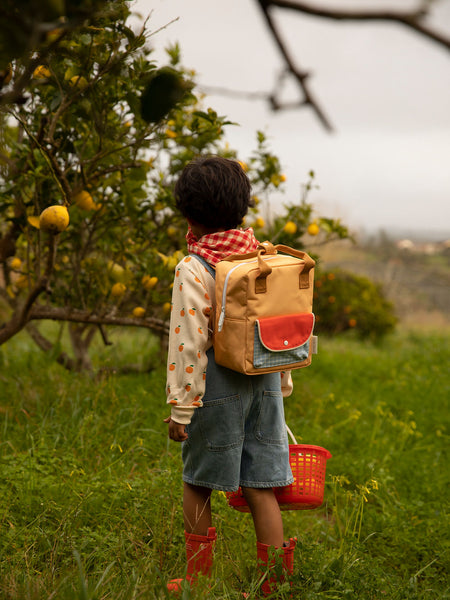 Sticky Lemon Small Backpack ~ Farmhouse Envelope ~ Pear Jam