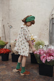 Emile at Ida Dress ~ Printemps Rose