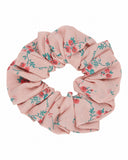 Emile et Ida Chouchou ~  Aster