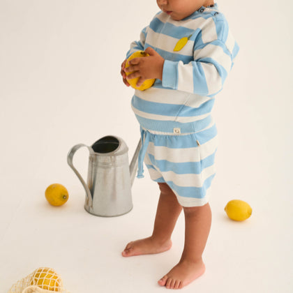 Cozmo Blue Striped Kelly Sweatshirt