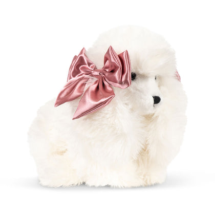 Konges Spitz Puppy