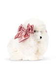 Konges Spitz Puppy