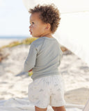 Quincy Mae Boys Swim Short ~ Dinosaur