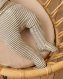 Quincy Mae Take Home Set ~ Forest Stripe