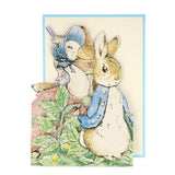 Meri Meri Peter Rabbit Concertina Card