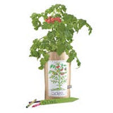 Potting Shed Creations Kids Garden in a Bag - Tomato