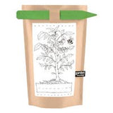 Potting Shed Creations Kids Garden in a Bag - Tomato