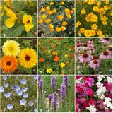 Potting Shed Creations Scatter Garden - Songbird: Bird