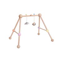 Plan Toys Play Gym