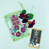 Sow the Magic Black Velvet Nasturtium Tarot Garden + Gift Seed Packet