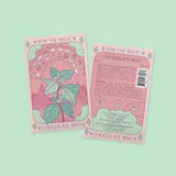 Sow the Magic Chocolate Mint Tarot Garden + Gift Seed Packet