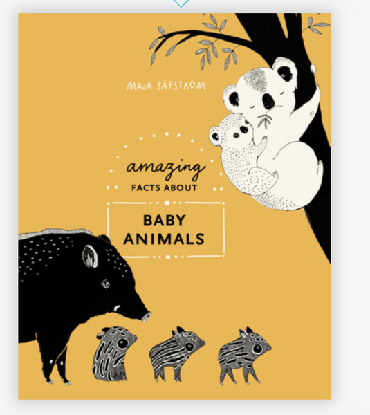 Amazing Facts About Baby Animals AN ILLUSTRATED COMPENDIUM By MAJA SÄFSTRÖM