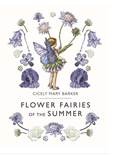 Flower Fairies of the Summer